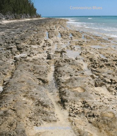 Coronovirus Blues (arr. Don Hodell Chilcote)