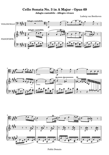 Cello Sonata No. 3 in A Major - Opus 69 (arr. HENRIQUE DA SILVA CAZE)
