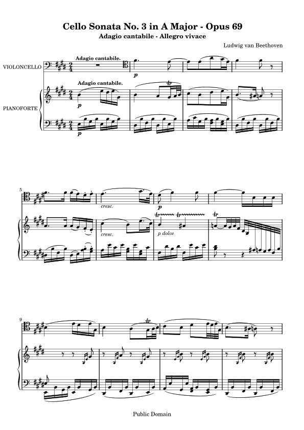 Cello Sonata No. 3 in A Major - Opus 69 (arr. HENRIQUE DA SILVA CAZE)