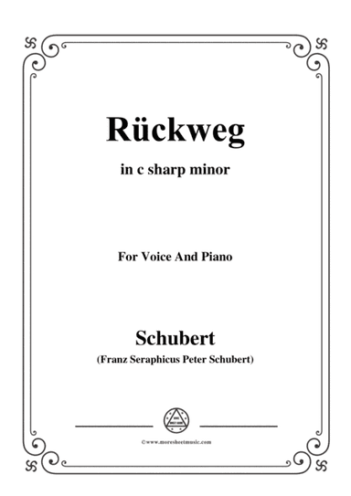 Schubert-Rückweg,in c sharp minor,for Voice&Piano (arr. MSM)