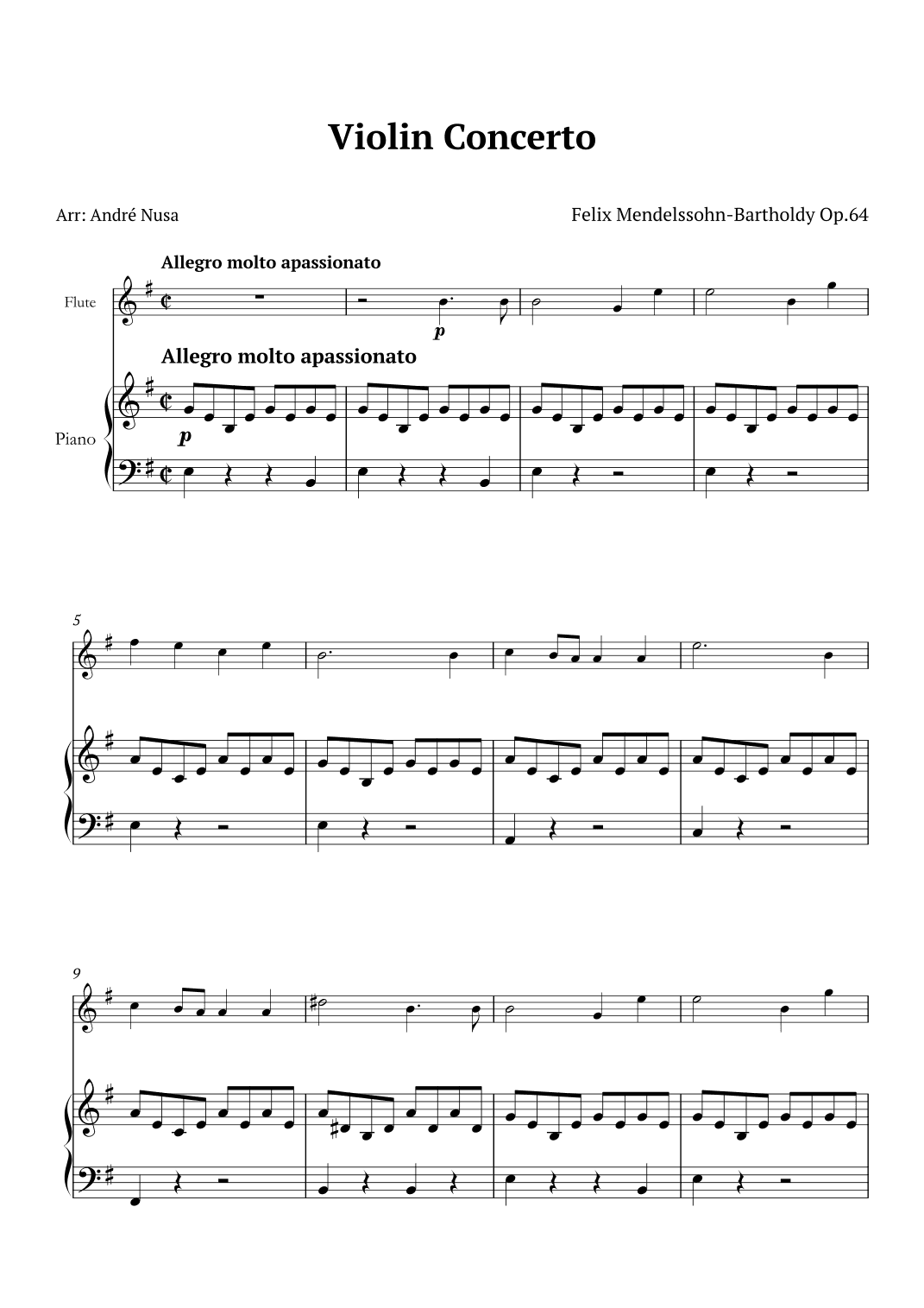 Violin Concerto in E minor (arr. André Nusa)