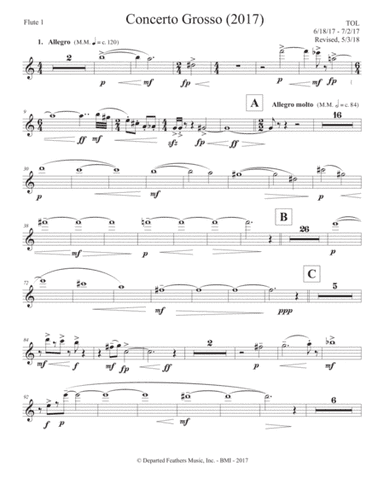 Concerto Grosso (2017) flute 1