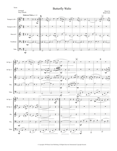 Butterfly Waltz (arr. Tony Zilincik)