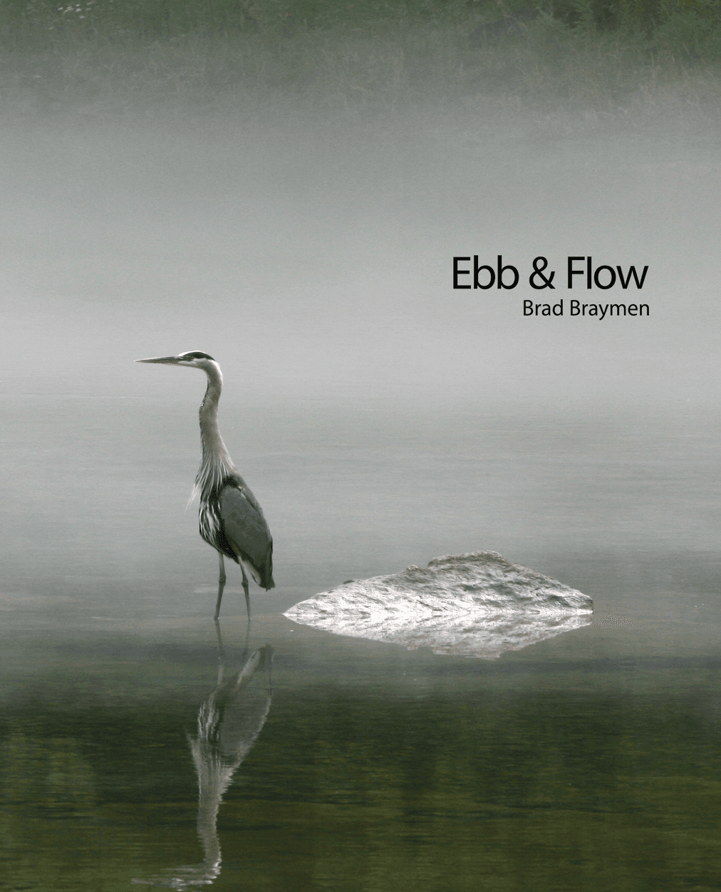 Ebb & Flow
