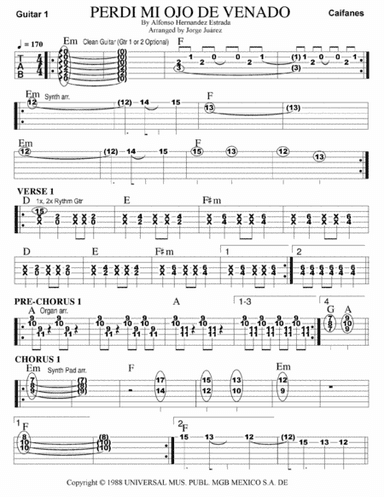 Perdi Mi Ojo De Venado (arr. Jorge Juárez)
