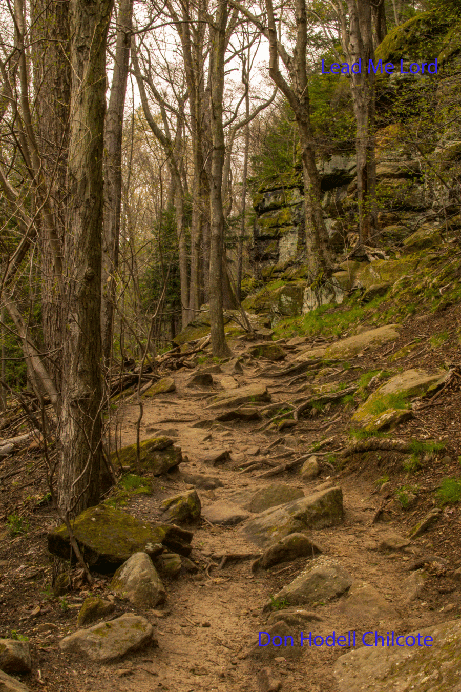 Lead Me Lord God In My Journey