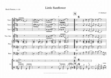 Little Sunflower (arr. Ronald Hopman)
