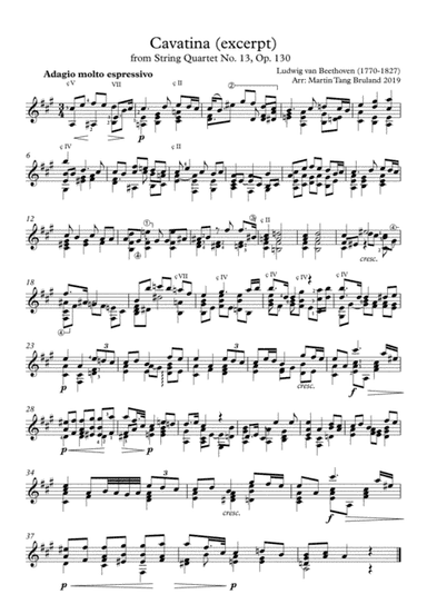 "Cavatina" from Beethoven String Quartet No 13, excerpt for guitar (arr. Martin Tang Bruland)