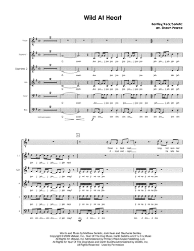 Wild At Heart (arr. Shawn Pearce)