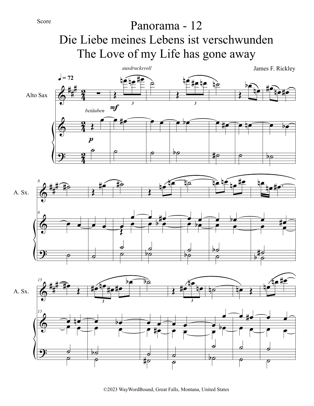 Panorama 12 Die Liebe meines Lebens ist verschwunden - The Love of My Life Has Gone Away
