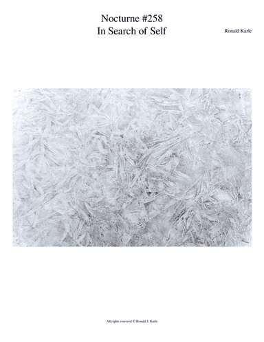 Nocturne #258 In Search of Self