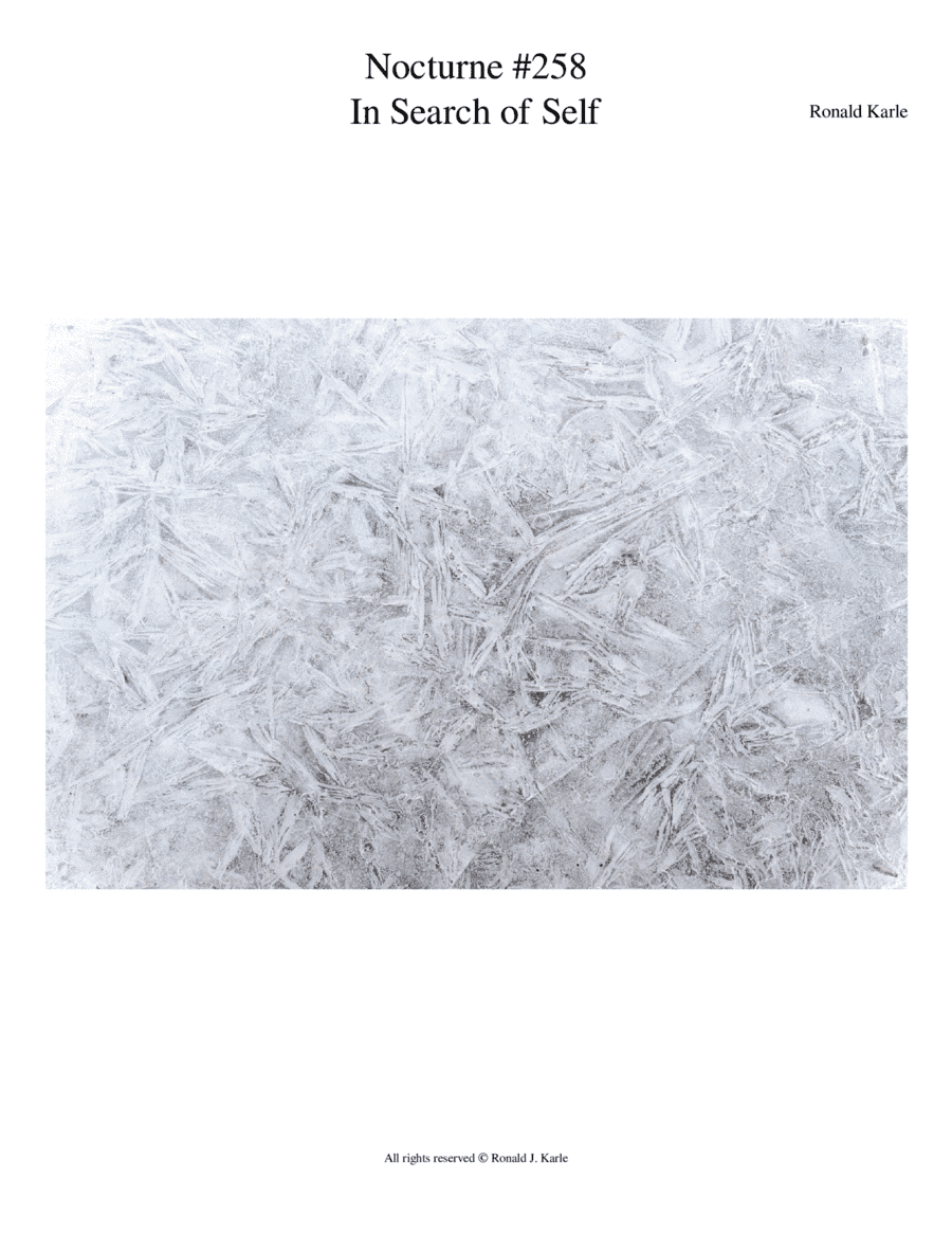 Nocturne #258 In Search of Self