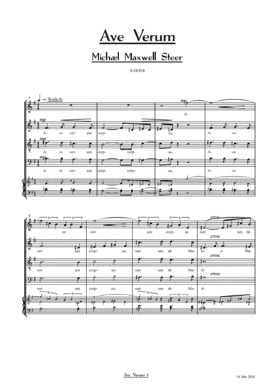 Ave Verum Corpus. Acappella version fo SAaTB with opt accpt