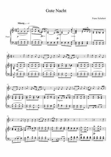 Franz Schubert - Gute Nacht (Violin Solo) (arr. André Laitano)