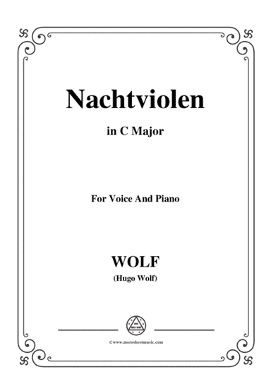 Wolf-Nachtviolen in C Major,for Voice and Piano (arr. MSM)