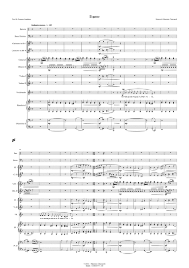 Il gatto (School orchestra version)