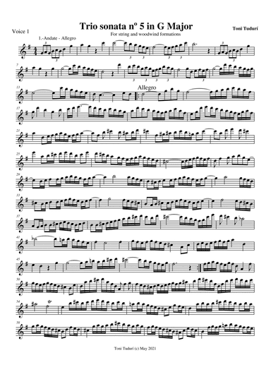 Trio sonata nº5 in G Major for flute, violin & cello or 2 violins & cello and basso continuo (PARTS