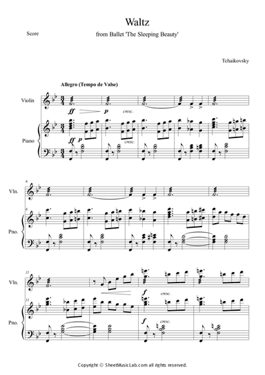 Waltz from Sleeping Beauty