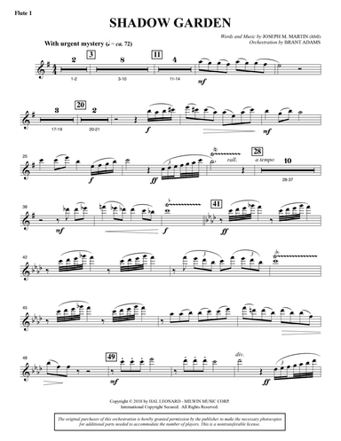 Shadow Garden (Full Orchestra) - Flute 1