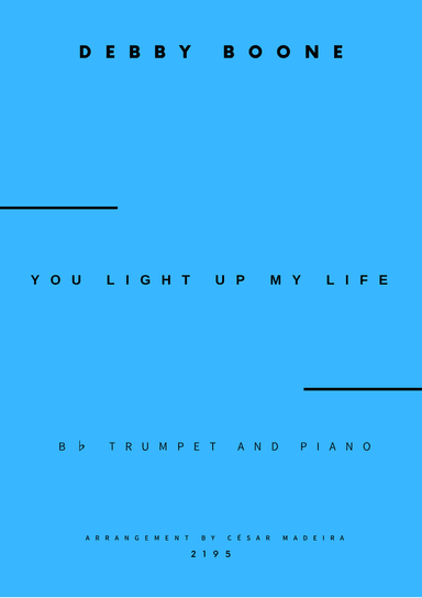 You Light Up My Life