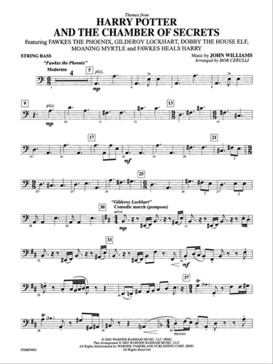 Harry Potter and the Chamber of Secrets, Themes from: String Bass