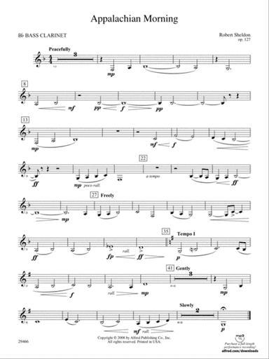 Appalachian Morning: B-flat Bass Clarinet