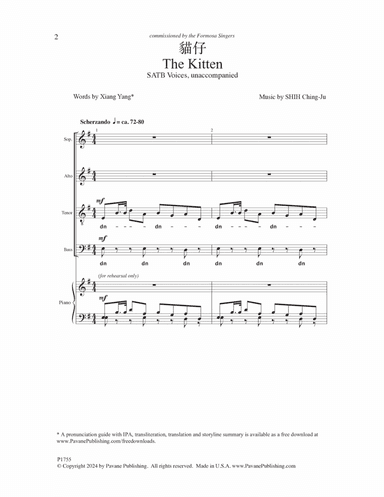 The Kitten