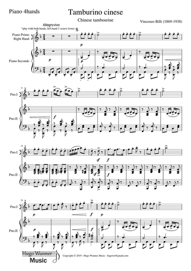 Tamburino Cinese - Chinese Tambourine