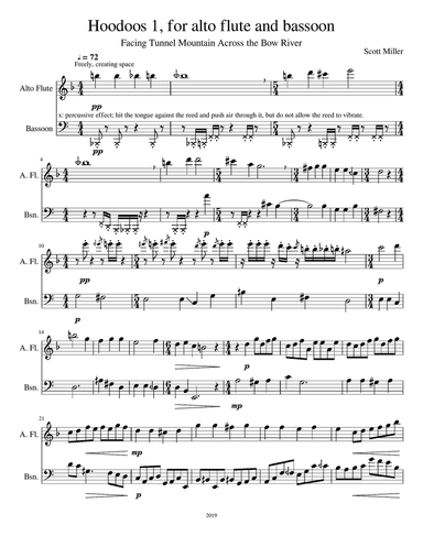 Hoodoos 1, for alto flute and bassoon