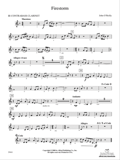 Firestorm: (wp) B-flat Contrabass Clarinet