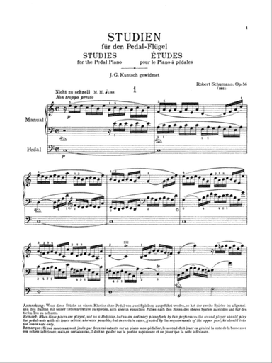 Schumann: Complete Works (Volume V)