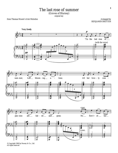 The last rose of summer