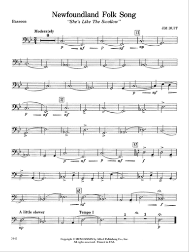 Newfoundland Folk Song: Bassoon