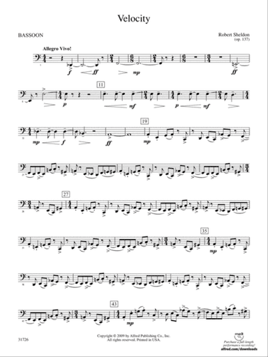 Velocity: Bassoon