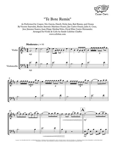 Te Bote Remix