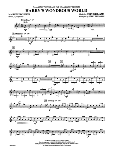 Harry's Wondrous World (from Harry Potter and the Chamber of Secrets): Mallets