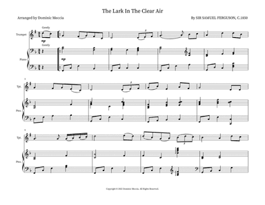 The Lark In The Clear Air