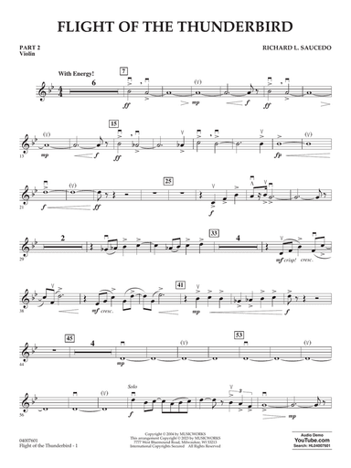 Flight Of The Thunderbird - Pt.2 - Violin