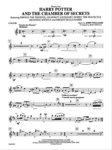 Harry Potter and the Chamber of Secrets, Themes from: Flute