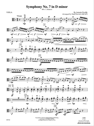 Symphony No. 7 in D Minor: Viola