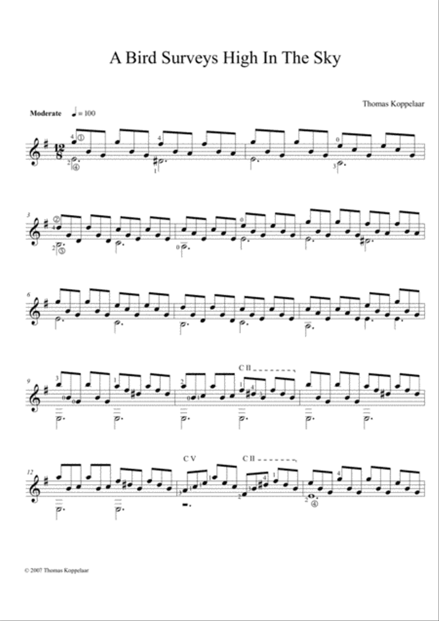 A bird surveys high in the sky