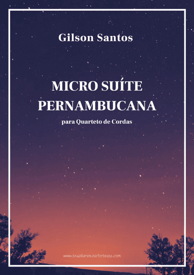 Micro Suíte Pernambucana