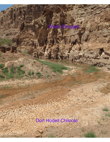 World Drought