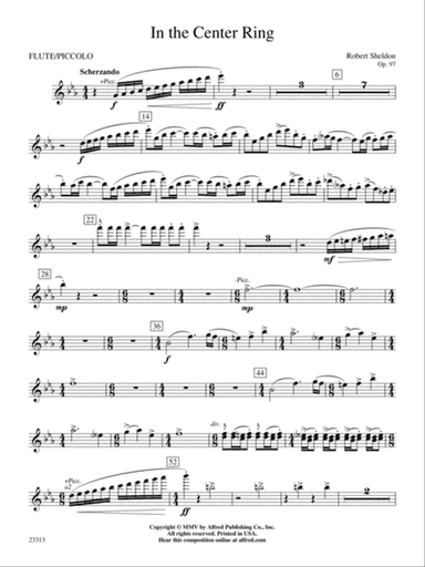 In the Center Ring: Flute