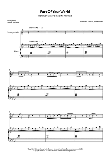 Part Of Your World (reprise)