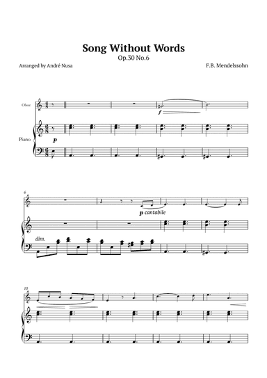 Song Without Words Op.30 No.6