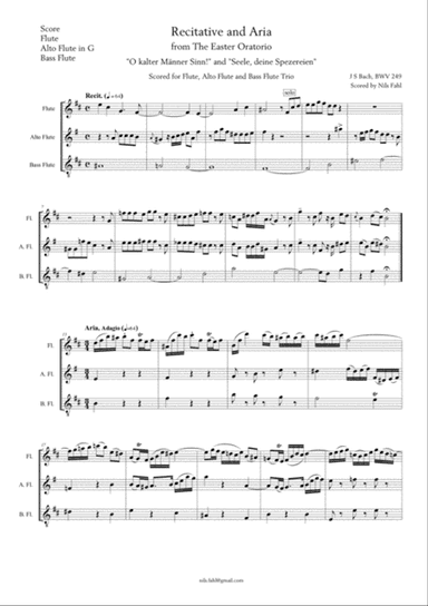 J S Bach Recit. and Aria from the Easter Oratorio, BWV 249. Flute trio (Flute, Alto Flute in G and B