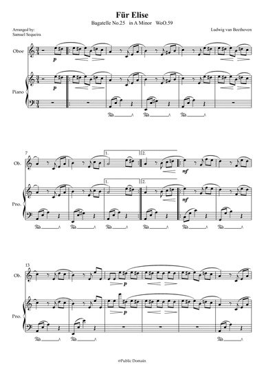 Für Elise (For Elise) - for Oboe and Piano accompaniment - with Piano Play along