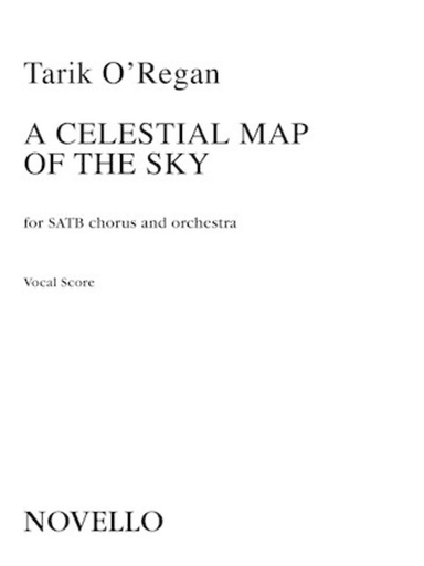 A Celestial Map of the Sky