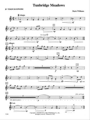 Tunbridge Meadows: B-flat Tenor Saxophone